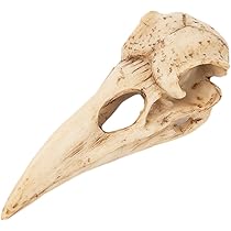 Amazon.co.jp: Wswqop 鳥の頭蓋骨ペンダント 樹脂製フィギュア